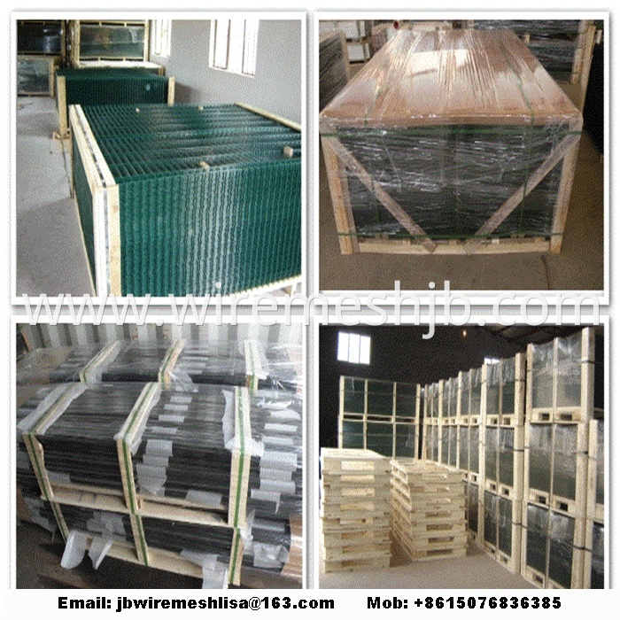 Powder Coated Double Wire Mesh Fence Panels